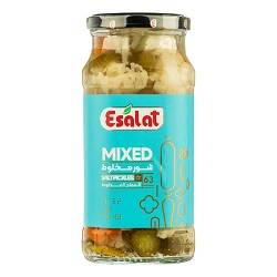 اصالت ترشی شورمخلوط 570گرم